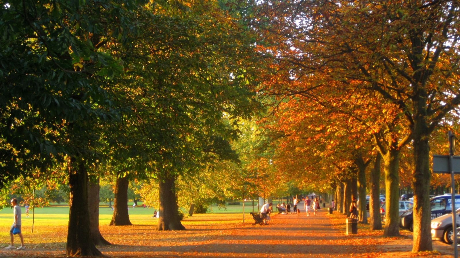 The Best Parks In London To See Deer Blog Zipcar